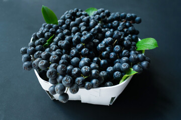 Ripe aronia berries on a black background.(Aronia melanocarpa).Useful black rowan berries.