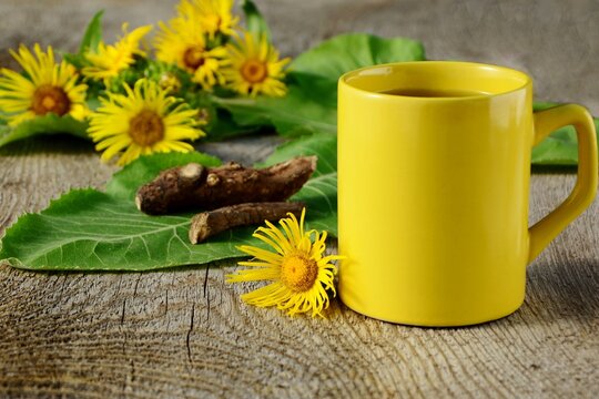Roots, flowers and leaves of elecampane with yellow mug with an infusion of elecampane on wooden table close up