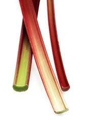Rhubarb, rheum rhaponticum against White Background