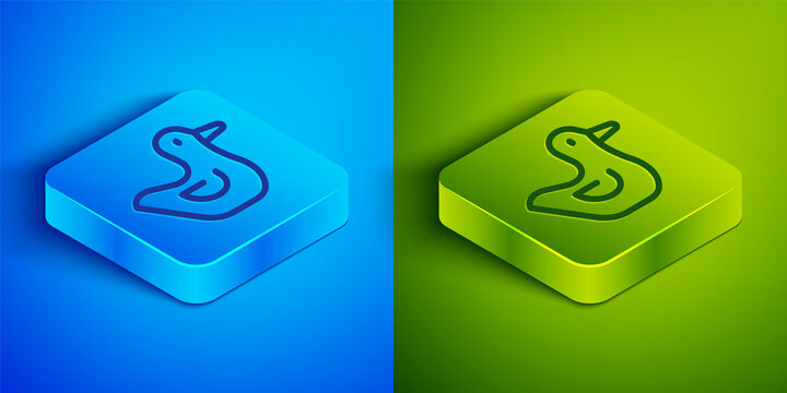 Isometric line Rubber duck icon isolated on blue and green background. Square button. Vector.