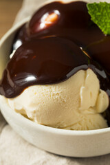 Homemade Frozen Vanilla Ice Cream