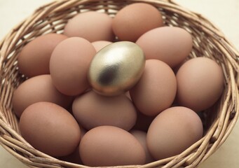 Eggs in Basket, Symbolic Image for the Gold Eggs with Hen