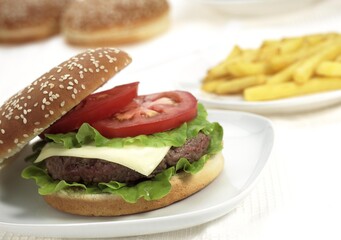 Hamburger in a Plate with French Fries