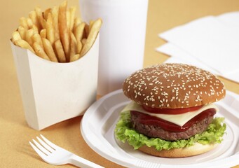 Hamburger in a Plate with French Fries