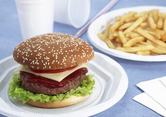 Hamburger in a Plate with French Fries