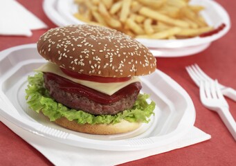 Hamburger in a Plate with French Fries