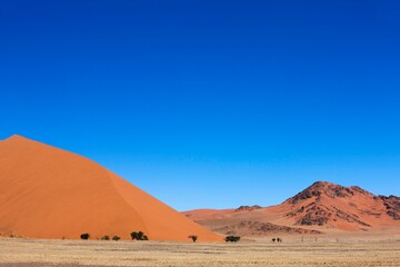 Fototapeta na wymiar Dune 45, Sossulsvlei Dunes in Namib Desert, Namib Naukluft Park in Namibia