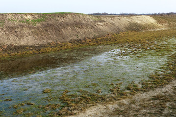 The exposed bottom of a dry pond. A shallow water body. A steep slope of the bank of an artificial pond.