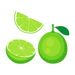 lime fruit set isolated on white, vector illustration