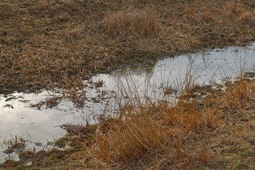 A small shallow stream among withered grasses. Wetlands.