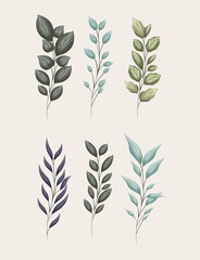 set of green leaves painting design of Natural floral nature and plant theme Vector illustration