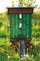 Traditional Wooden Beehive. Organic Honey Production