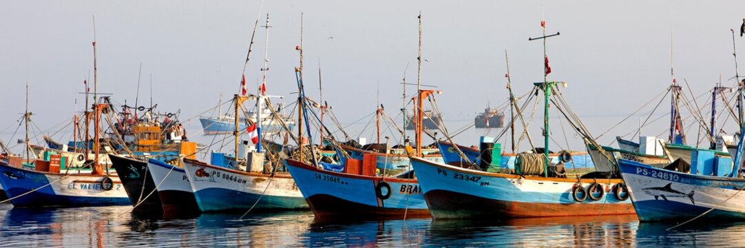 Fishing Boats In Harbour Of Paracas, Peru