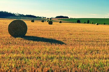 Hay bail harvesting in golden field landscape. Summer Farm Scenery with Haystack on the background of Beautiful Sunset.