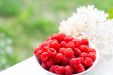 A white cup with fresh ripe raspberries stands against a background of bushes. Natural organic.
