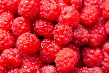 Macro Photo food raspberry berry. Texture background ripe pink raspberry berry. Image food product.