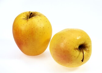 Golden Apple, malus domestica, Fruits against White Background