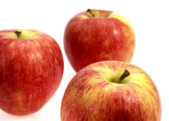 Royal Gala Apple, malus domestica, Fruits against White Background