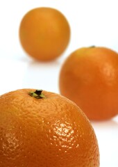 Orange, citrus sinensis, Fruits against White Background