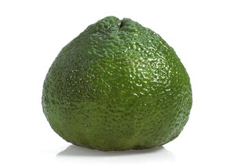 Ugly Grapefruit, citrus xtangelo, Fruit against White Background