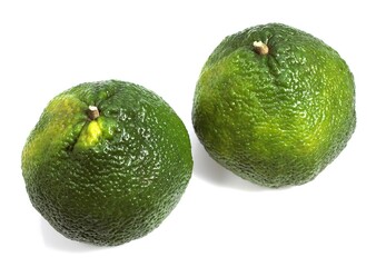 Ugly Grapefruit, citrus xtangelo, Fruits against White Background