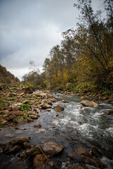 small river and road among the autumn forest in the mountains. weekend trip. weekend hike. trip out of town