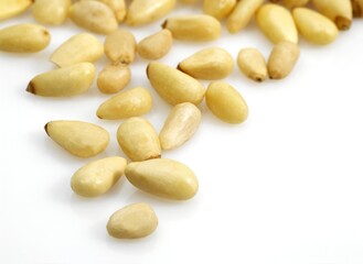 Pine Kernel or Pine Nut, pinus sp., Fruits against White Background