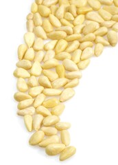Pine Kernel or Pine Nut, pinus sp., Fruits against White Background