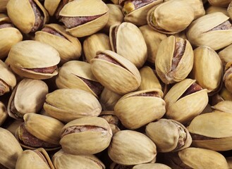 Pistachio Nuts, pistacia vera, Dry Fruits
