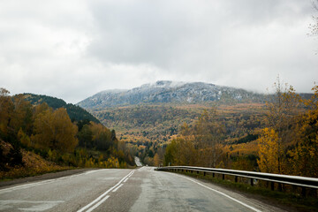 asphalt road in the mountains in late autumn, golden forest covered by the first snow, cloudy sky