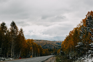 road among mixed forest in mountains against gray sky