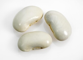 French Beans called Soissons Beans, phaseolus vulgaris against White Background