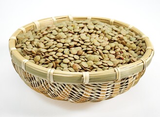 French Lentils called Saint Flour Blond Lentils, lens esculenta against White Background