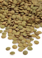 French Lentils called Saint Flour Blond Lentils, lens esculenta against White Background