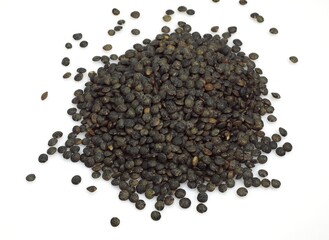 French Lentils called Green Puy Lentils, lens esculenta against White Background