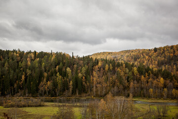 small river and road among the autumn forest in the mountains. weekend trip. weekend hike. trip out of town