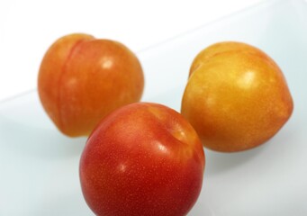 Yellow Plums, prunus domestica, Fruits against White Background