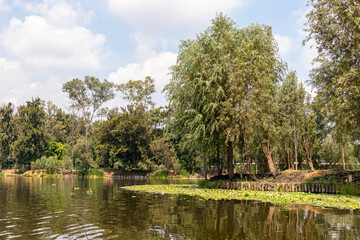 Landscape of the Cuemanco canal in Xochimilco, Mexico City. Calm river. The river flows in spring...