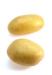 Mona Lisa Potato, solanum tuberosum, Vegetable against White Background