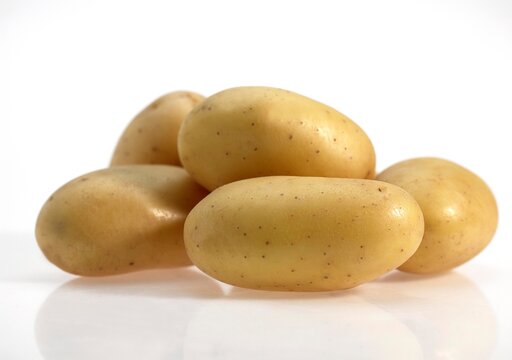 Mona Lisa Potato, solanum tuberosum, Vegetable against White Background