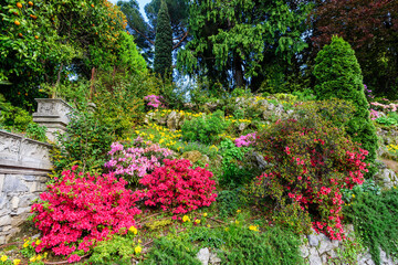 Flower bed along the road. Bellagio ,Italy