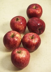 Royal Gala Apple, malus domestica