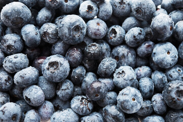 Lots of fresh blueberries in water drops, top view