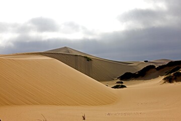 Fototapeta na wymiar Sand Dunes near Walvis Bay in Namibia