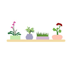 Geranium, Grass, Ficus Benjamina, Orchid, houseplants on white isolated background, vector stock illustration in Flat design style, concept of Window Gardening, Indoor Plants, Home Cosiness, Nature.