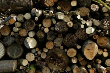 Stack of Wood