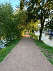 Fototapeta premium path in the park