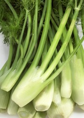 Obraz premium Little Fennel, foeniculum vulgare, Vegetables against White Background
