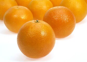 Orange, citrus sinensis, Fruits against White Background
