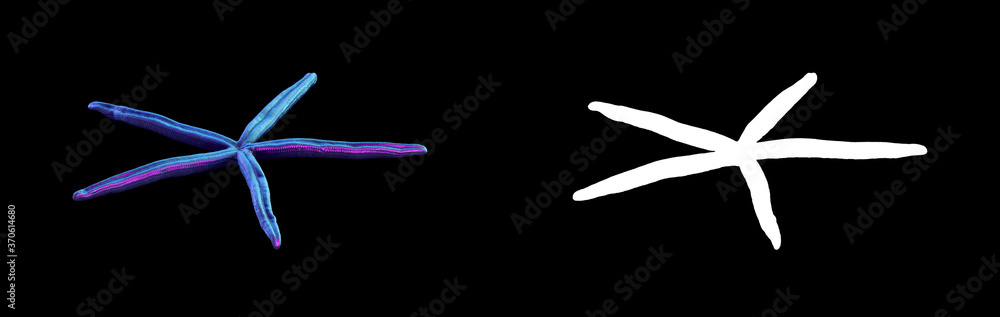 Fototapete a collection of sculptures made in neon style on a black background for your design ideas. 3d render